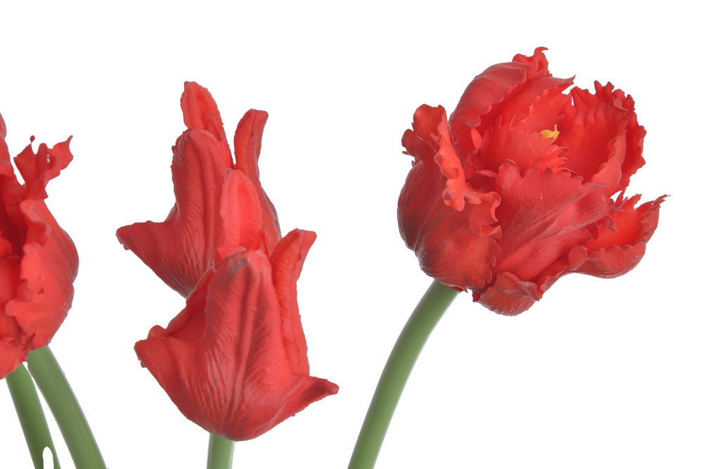 Umělé tulipány papouškovité latexové červené 2